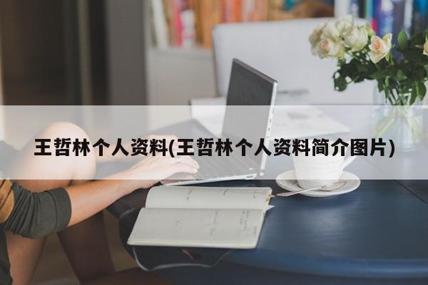 王哲林个人资料(王哲林个人资料简介图片)