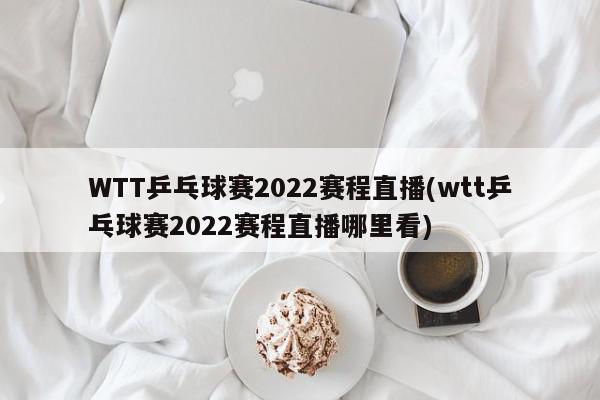 WTT乒乓球赛2022赛程直播(wtt乒乓球赛2022赛程直播哪里看)