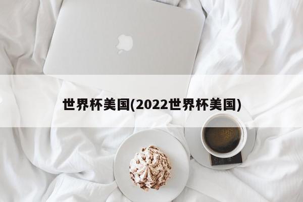 世界杯美国(2022世界杯美国)