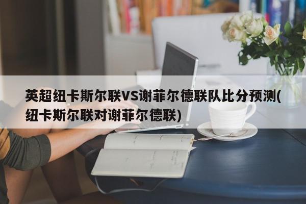 英超纽卡斯尔联VS谢菲尔德联队比分预测(纽卡斯尔联对谢菲尔德联)