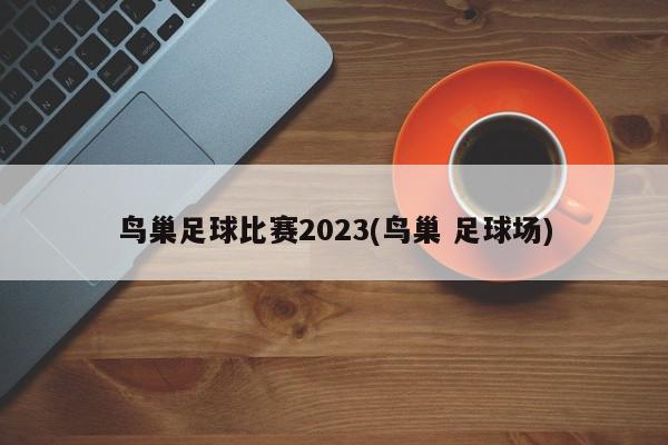 鸟巢足球比赛2023(鸟巢 足球场)