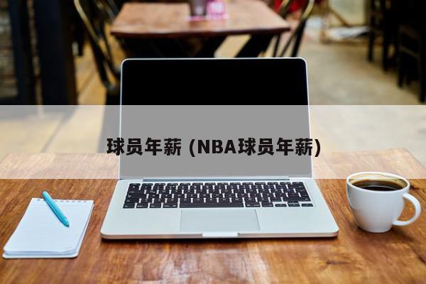 球员年薪 (NBA球员年薪)