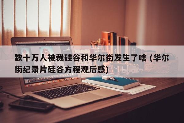 数十万人被裁硅谷和华尔街发生了啥 (华尔街纪录片硅谷方程观后感)