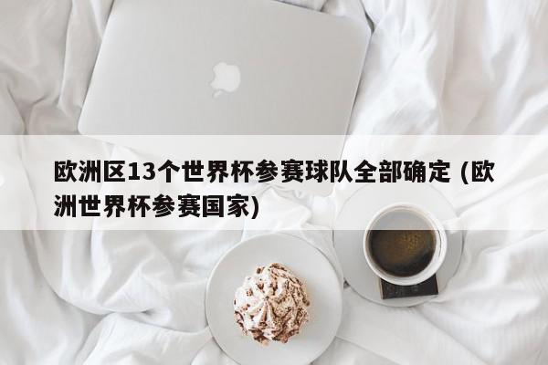 欧洲区13个世界杯参赛球队全部确定 (欧洲世界杯参赛国家)